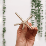 big-star-fish-hair-clip