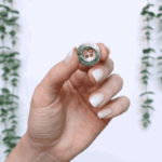 simple-4-holes-button